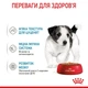 Упаковка вологого корму для цуценят Royal Canin Mini Puppy Sauce 9+3 шт х 85 г - изображение 3