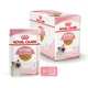 Вологий корм для кошенят Royal Canin Kitten Gravy 85 г - изображение 2