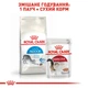 Cухий корм для котів Royal Canin Home Life Indoor 27 400 г - изображение 8