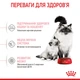 Сухий корм для кошенят Royal Canin Mother & Babycat 10 кг - изображение 4