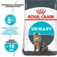 Royal Canin Urinary Care сухий корм для котів 400 г - изображение 2