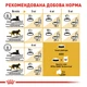 Сухий корм для котів Royal Canin Persian Adult 2 кг - изображение 7