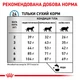 Cухий корм для котів Royal Canin Anallergenic 2 кг - изображение 7