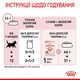 Вологий корм для котят Royal Canin Kitten Jelly 85 г (домашній птах) - зображення 8