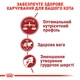 Royal Canin Fit 32 сухий корм для котів 10 кг - изображение 3