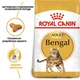 Сухий корм для котів Royal Canin Bengal Adult 2 кг - изображение 2