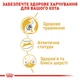Сухий корм для котів Royal Canin Bengal Adult 2 кг - изображение 5
