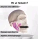 Набор експандеров для скул, челюсти, мышц лица MADORU 3 шт - изображение 4