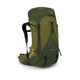 Рюкзак туристичний Osprey Atmos AG LT 65 scenic valley/green peppercorn L/XL (009.3279) - зображення 1