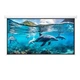 Проекционный экран Atria MRSM-HD-135D моторизированный 135" 299x168см 16:9 - изображение 6