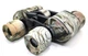 Бінокль Bassell 10x40 camo - зображення 2