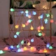 Светодиодная гирлянда "Шарики" 20 LED, 5м + переходник, 220V, IP44, Мультиколор - изображение 9