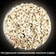 Семена подсолнечника сырые без кожуры (очищенные) 1 кг Clear (SF-R-1000) - изображение 3