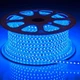Вулична світлодіодна гірлянда Дюралайт, бухта 80м, 60 LED на метр, IP68, Синій - зображення 10