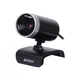 Веб-камера A4Tech PK-910 H HD (4711421896122) - изображение 1