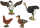 Zestaw do zabawy Leantoys Model Series Farmer Birds z akcesoriami (5904204757805) - obraz 4