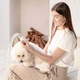 Набір для догляду за тваринами Petkit Pet Grooming Kit (LM4) - зображення 4