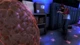Ключ активации Outbreak: Blood and Death Collection для Xbox One/Series S/X - изображение 5