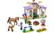 Конструктор Lego Friends Тренировка лошади, 134 деталей 41746 - изображение 8
