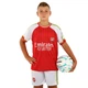 Форма футбольная детская с символикой футбольного клуба ARSENAL домашняя 2024 SP-Sport CO-7180 (PL, р XL-30, рост 155-165см, белый-красный) - изображение 6