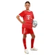 Форма футбольная детская с символикой футбольного клуба BAYERN MUNCHEN домашняя 2023 SP-Sport CO-7186 (PL, р L-28, рост 145-155м, красный) - изображение 2