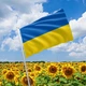 Флаг Украины 0,9*1,4 м 4647746 - изображение 2
