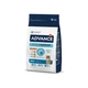 Сухой корм Advance Cat Adult Chicken & Rice для взрослых кошек с курицей и рисом 15 кг (573511) - изображение 1