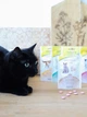 Ласощі GimCat Skin & Coat Tabs Ласощі для здоров’я шкіри та шерсті котів 40 г (1111153593) - зображення 3