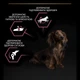Сухой корм для собак малых пород с лососем Purina Pro Plan Small & Mini Sensitive Skin 3 кг - изображение 5
