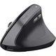 Мышка Trust Bayo 2 Ergonomic Wireless/USB-A (25145)[78594] - изображение 1