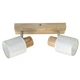 Люстра поворотна спот на 2 плафони Sneha (99666922-32-91 WHITE) - зображення 1