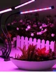 Ультрафіолетова лампа для рослин j22wl-03 LED LIGHT Повний спектр 3 голови LED - зображення 6