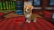 Little Friends Puppy Island (Switch) - изображение 2