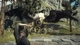 Dragons Dogma 2 (PS5, русские субтитры) - изображение 5