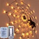 Світлодіодна гірлянда WEB Shinedo SD-SSL148 70 LED Remote Control/AA - изображение 1