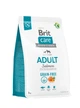 Сухий корм Brit Care Dog Grain-free Adult для собак малих та середніх порід, беззерновий з лососем, 3 кг, артикул 172197 - зображення 1
