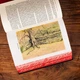 THE LORD OF THE RINGS - Single volume illustrated edition - J. R. R. Tolkien - 9780008471286 - изображение 6
