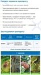 Фунгицид Миравис 3 мл Syngenta - изображение 7