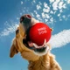 Игрушка для собак WAUDOG Fun Red Ball (6001) - изображение 4