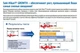 Корм для кої Saki-Hikari Growth (L) 5 кг, 7,5-8,5мм для швидкого росту, рибам довжиною +30 см Гранули - зображення 4