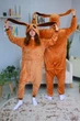 Пижама кигуруми My Kigu Женская Pokemon Eevee Покемон Иви Коричневый размер S 144-155 см (110941) - изображение 9