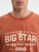 Футболка хлопковая мужская Big Star Enifer 704 S Оранжевая (5900714784607) - изображение 6