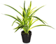 Sztuczna roślina Atmosphera jungle dracena w doniczce zielona (5902973413489) - obraz 1