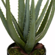 Sztuczny aloes Atmosphera real touch zielone (3560233822932) - obraz 3