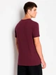 Футболка бавовняна чоловіча Armani Exchange 898816560 XL Бордова (1159813371) - зображення 2
