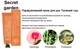 Парфумований крем для рук Lamelin Perfume Hand Cream Secret Garden Таємний сад 50 мл (8809733214607) - зображення 2
