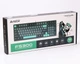 Клавіатура A4tech FS300 Fstyler Panda Rock Climbing (FS300 Panda Rock Climbing) - зображення 12
