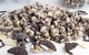 Попкорн Oreo Snack Pop SNACK POP Cookie Pop 149g - зображення 2