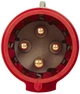 Переносна вилка Legrand Tempra Pro 3К+З 32 A 415 В Червона (555238) - изображение 2