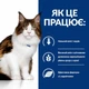 Hill's PRESCRIPTION DIET w/d Сухий корм для котів при цукровому діабеті, з куркою, 3 кг - изображение 4